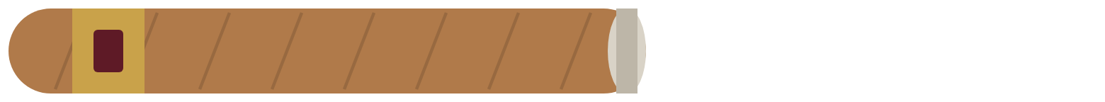 Robusto