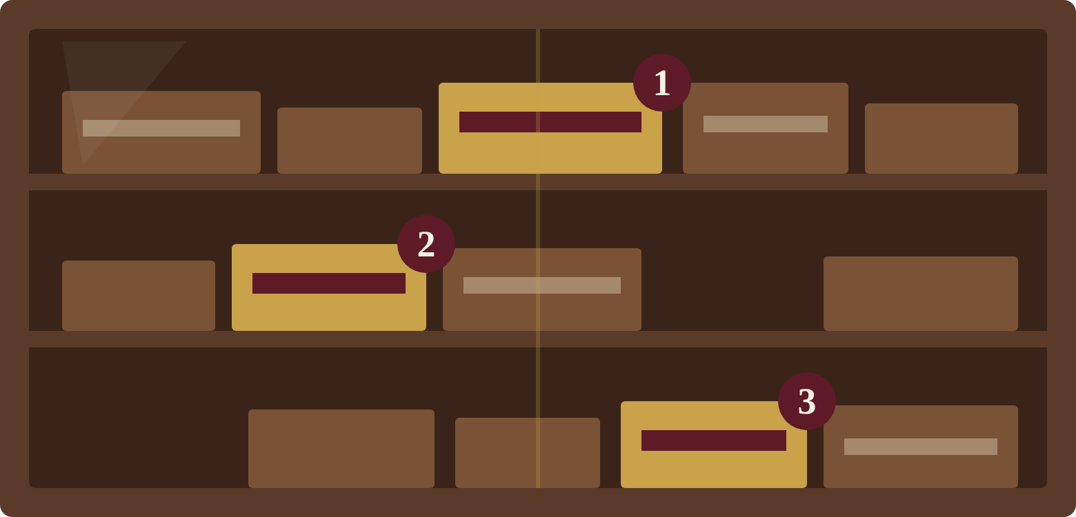 Illustration of the humidor shelves